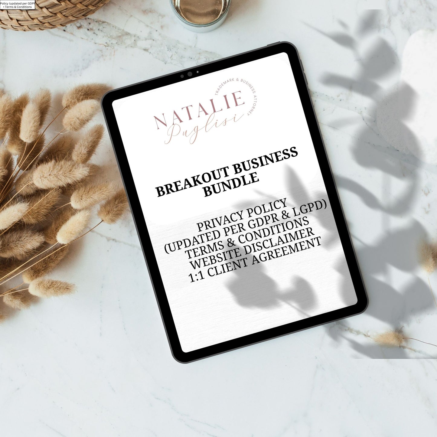 Break-Out Business Bundle for Financial Coaches